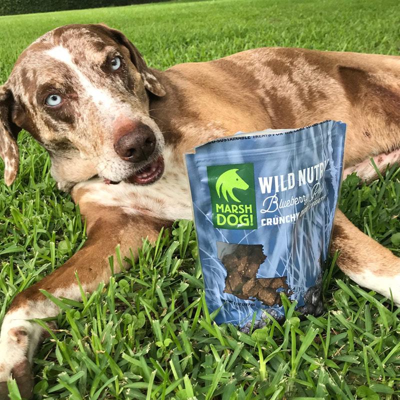 ReUKnighted: Harlan family