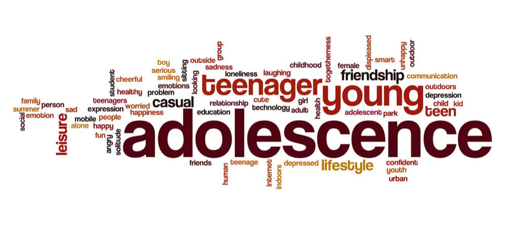 Adolescence is hard banner